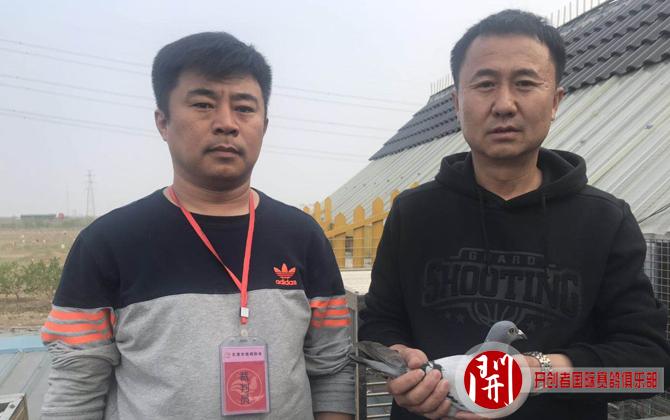 工作人员入户对归巢的参赛鸽进行了抽检, 以下是部分抽检的参赛鸽照片